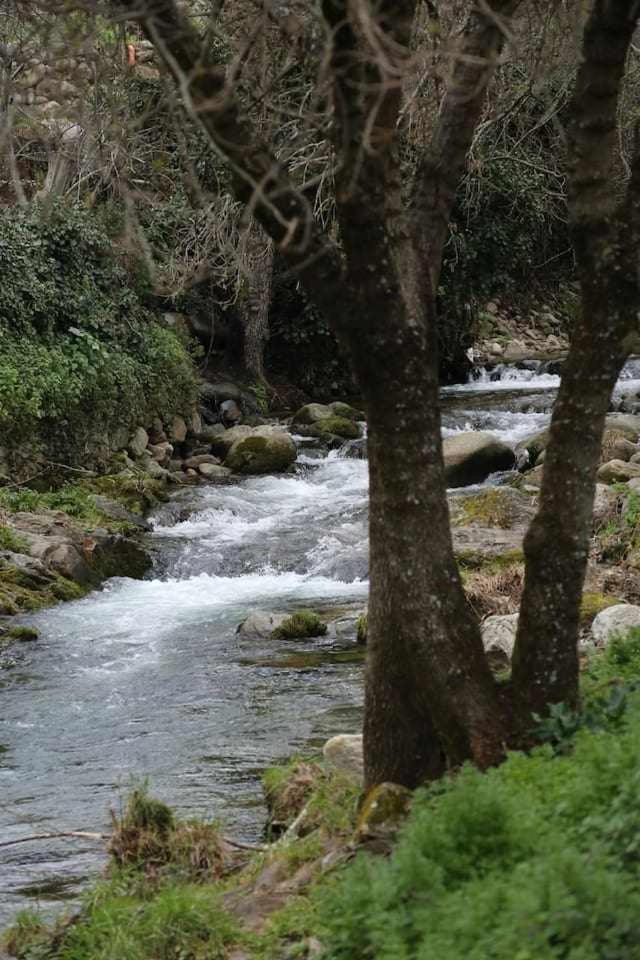 El Olivar Agloipe Ahigal Trcc エクステリア 写真